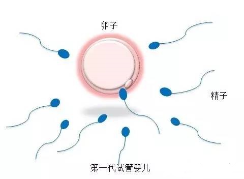 冰原生殖医学中心